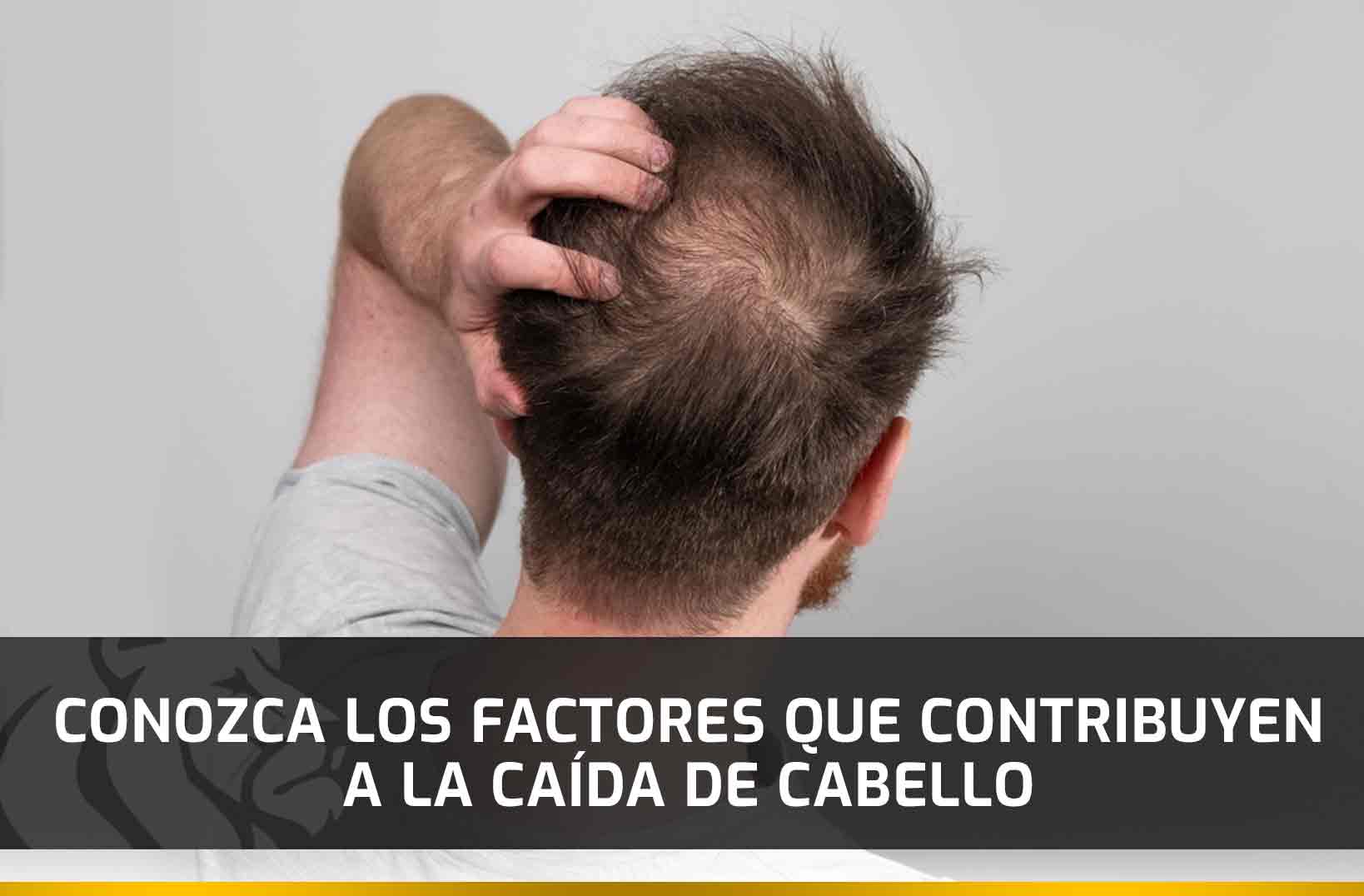 Conozca los factores que contribuyen a la caída de cabello