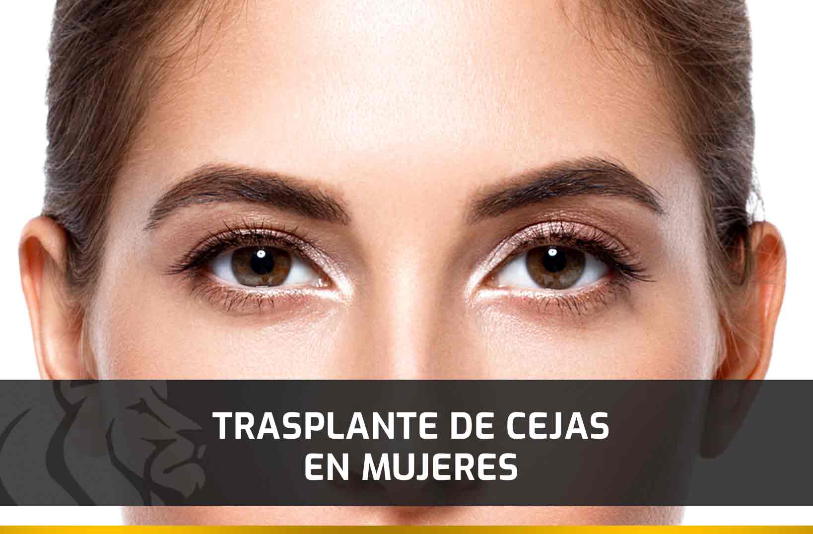 Trasplante de cejas en mujeres